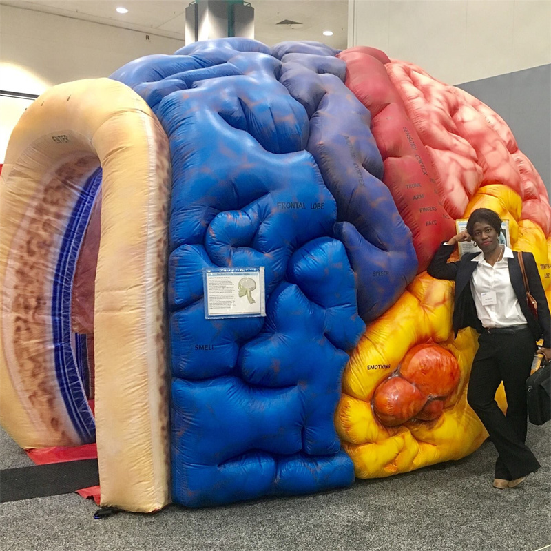 Giant inflatable brain model for Exhibit event