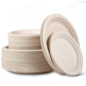 Free Sample High Quality Biodegradable Disposable Restaurant Sugarcane Plates 9 Inch Dishes Paper Plates