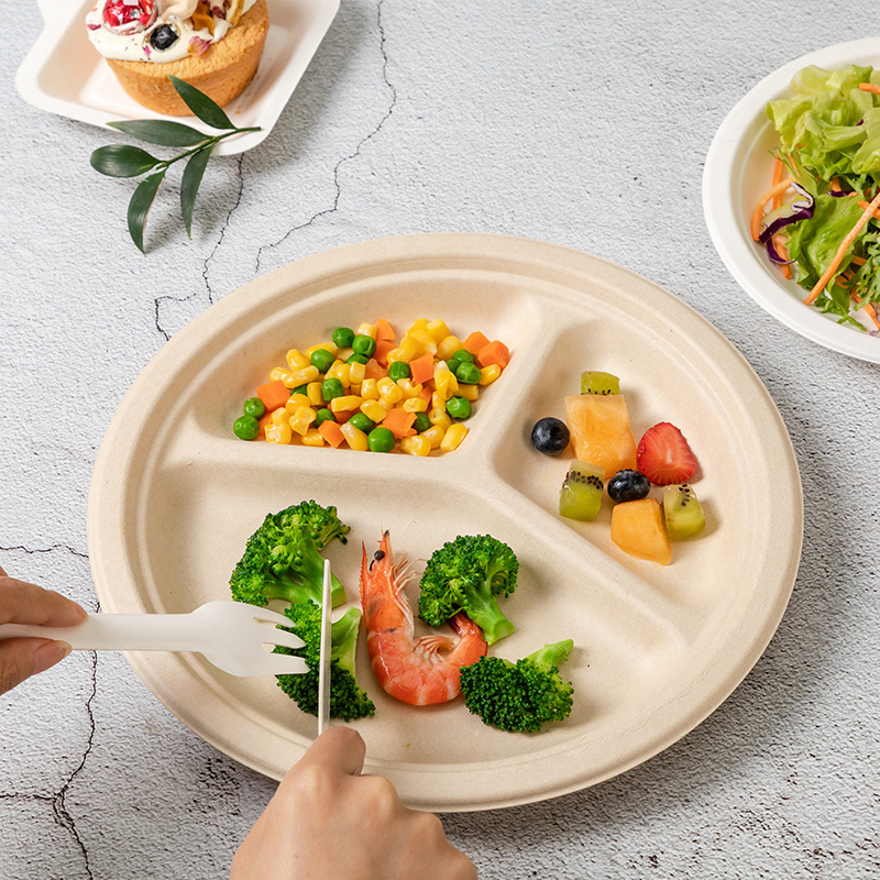 Free Sample High Quality Biodegradable Disposable Restaurant Sugarcane Plates 9 Inch Dishes Paper Plates