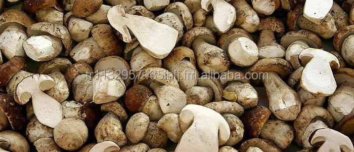 Dried Porcini (Boletus) Mushroom The Ultimate Flavor Booster for Your Meals A Culinary Treasure The Flavorful Way to Go Vegan