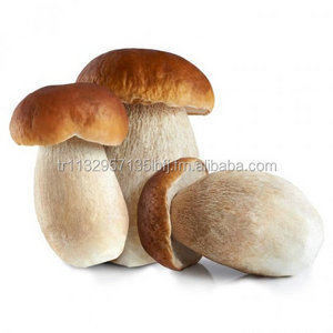 Dried Porcini (Boletus) Mushroom The Ultimate Flavor Booster for Your Meals A Culinary Treasure The Flavorful Way to Go Vegan