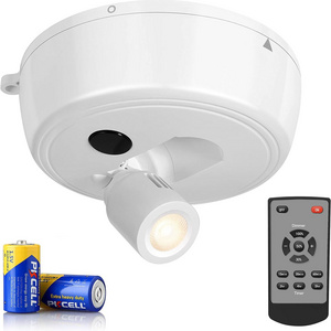 tuodi Picture Light Wireless LED Lights with Remote Control,  WIRELESS LED PICTURE LIGHT