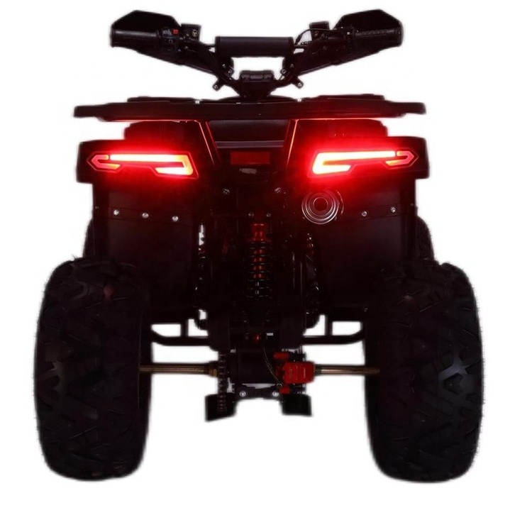 CE approved 110cc Quad bike 4 stroke gas power 125cc ATV four wheels drive beach ATV for children