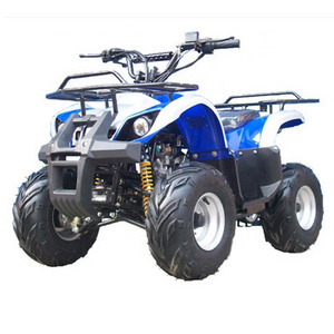 Children ATV 500W 800W Electric Quad