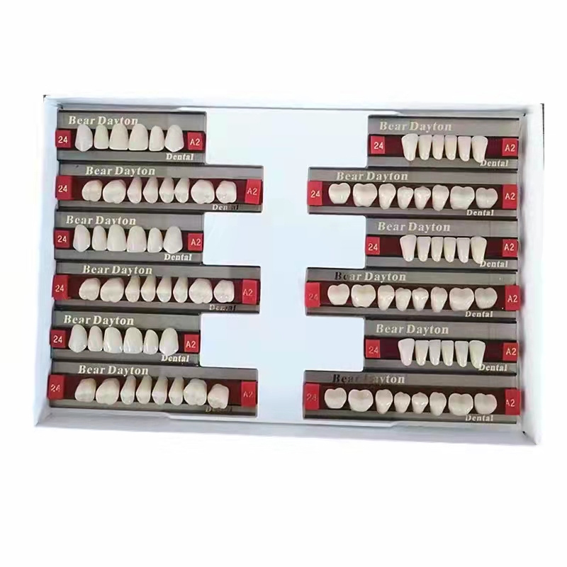 Dental Denture False Acrylic Teeth Synthetic Composite  Resin Teeth Set