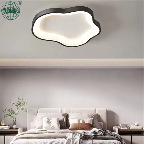 cct changeable acrylic cloud round shape flush mount led ceiling home lighting with remote control for bedroom