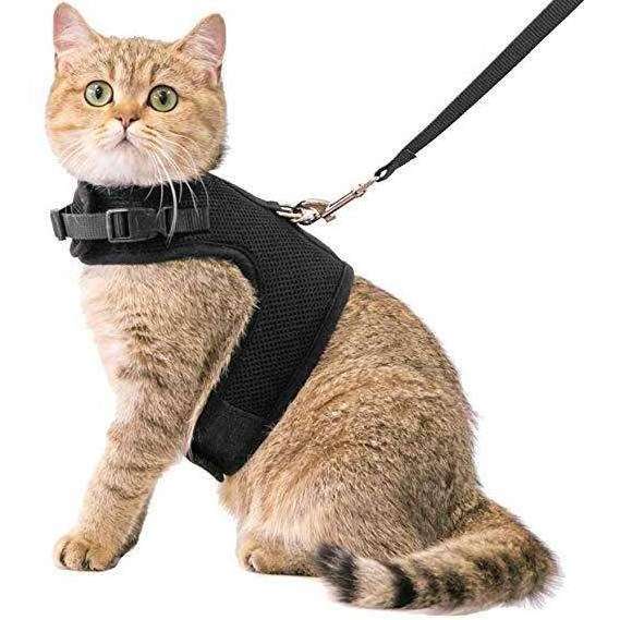 Cat Harness and Leash Set Breathable Escape Proof Kitten Adjustable Cat Harness with Reflective Strip