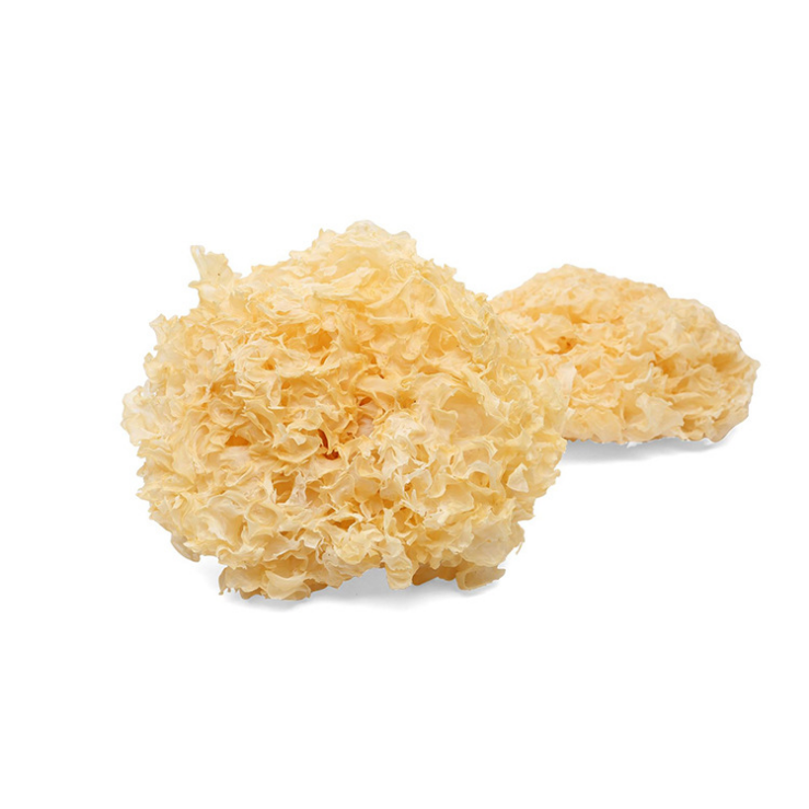 Mushroom Yin Er Tremella Mushrooms  Dried tremella fuciformis White Snow Fungus