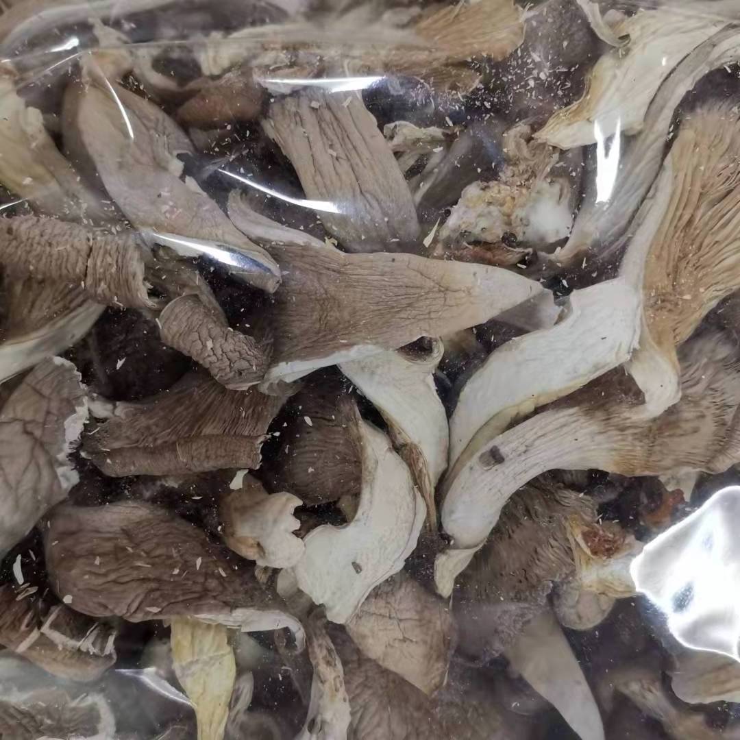 Crisp And Delicious Vacuum Fried Mushroom Oyster Mushroom Dried Wholesale