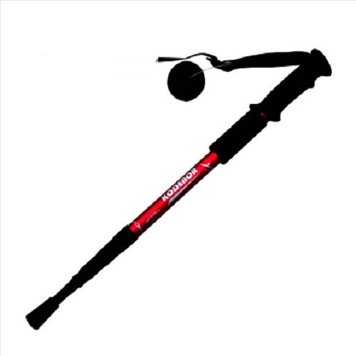 Cheap Outdoor Foldable Hiking Pole Camping Walking Stick