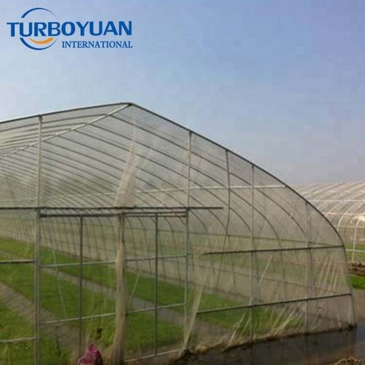 HDPE insect repellent net/plastic Anti Aphid Net/greenhouse insect proof net for Agriculture