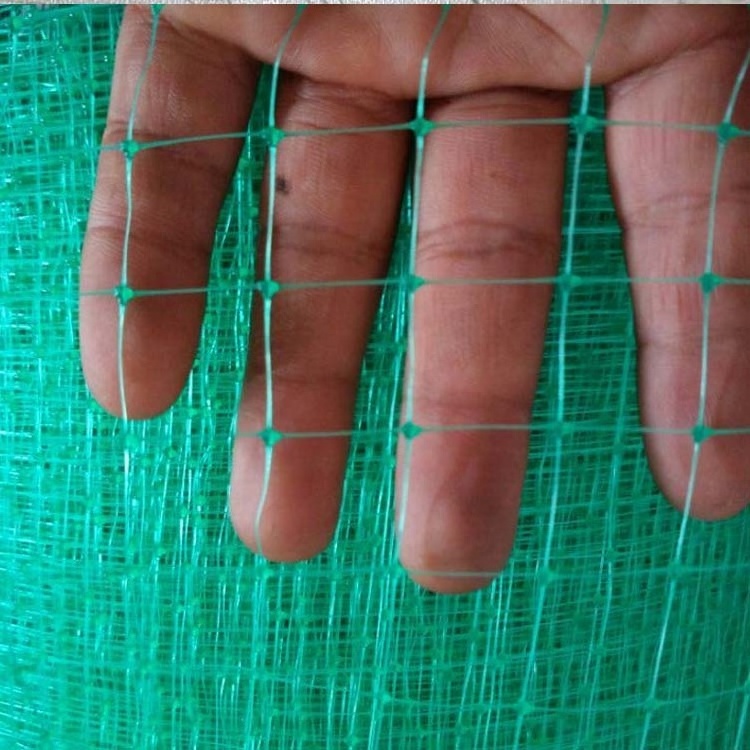 Green anti-bird wire mesh nets / agricultural garden birds netting for vineyard