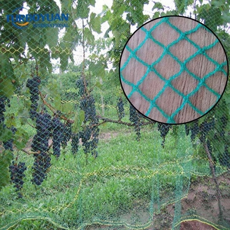 Best-Selling high strength anti bird net trap to catch bird to protect fruit tree