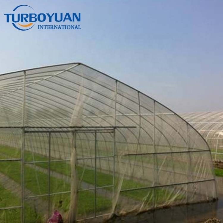 agricultural woven hdpe anti insect nets / fruit fly exclusion insect proof netting / Anti-insect (polysack) nets