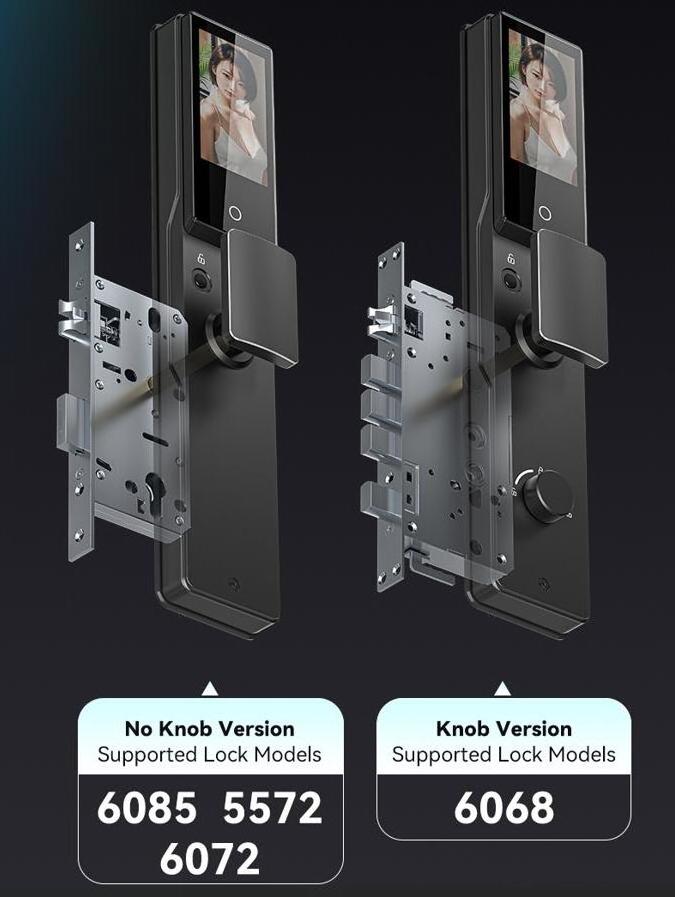 TYSH Face Recognition Camera Two-way Voice Smart Locks Safe Electronic Lock Fingerprint Tuya App Wifi Remote Digital Door Lock