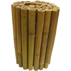 Tam Vong Bamboo Poles Solid Thick Wholesale Natural Bamboo Stakes Treated for Building Construction Cheap Price in Vietnam