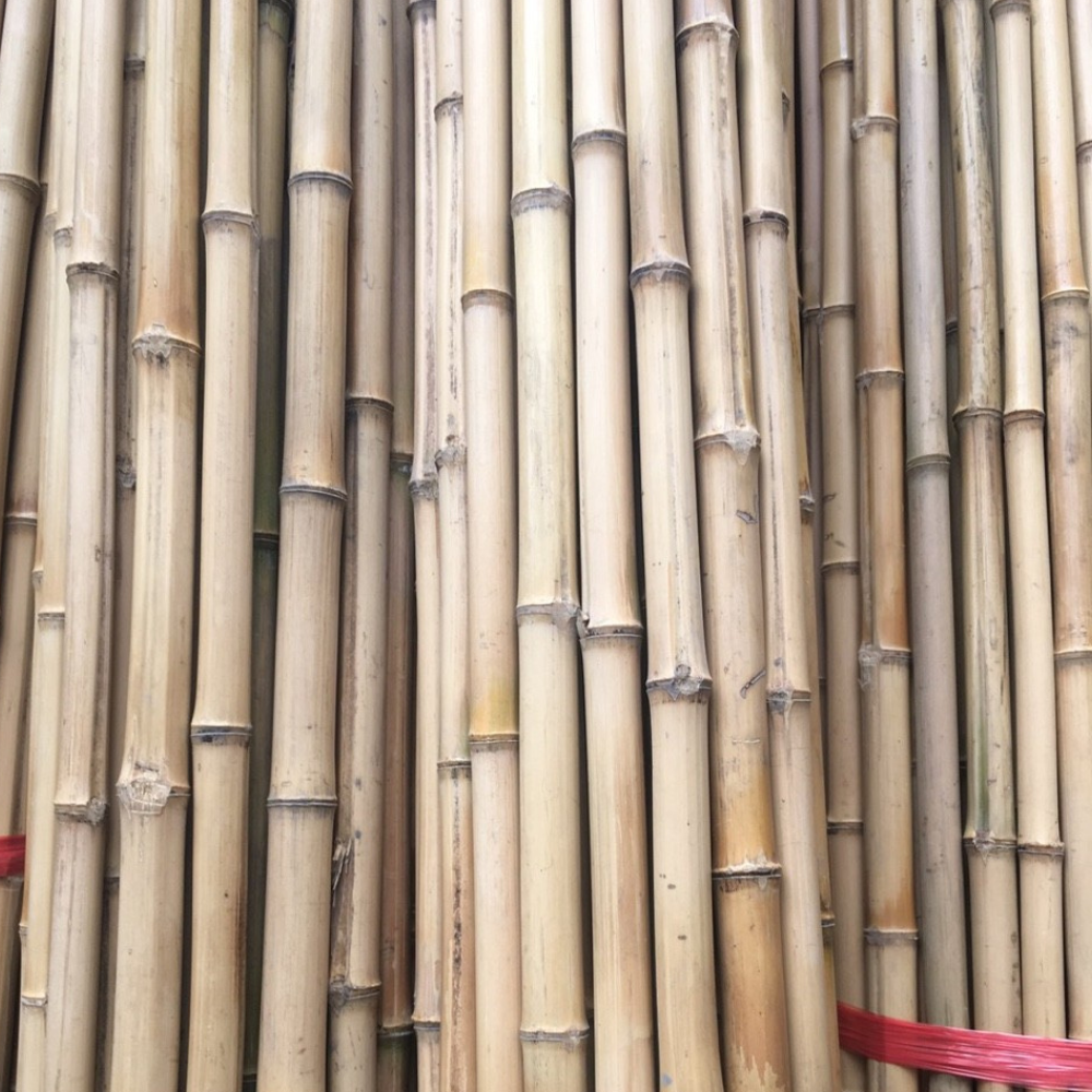 Tam Vong Bamboo Poles Solid Thick Wholesale Natural Bamboo Stakes Treated for Building Construction Cheap Price in Vietnam