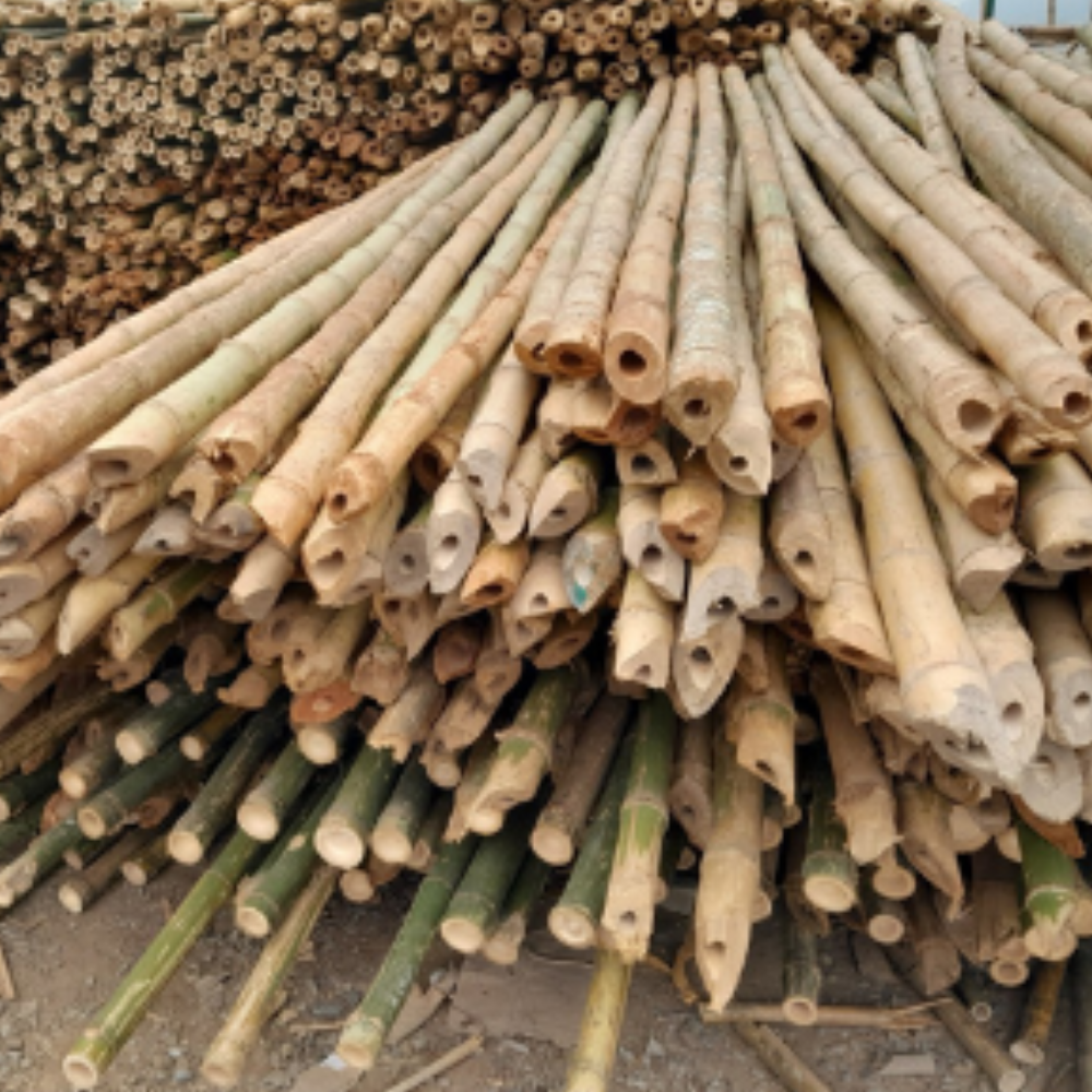 Tam Vong Bamboo Poles Solid Thick Wholesale Natural Bamboo Stakes Treated for Building Construction Cheap Price in Vietnam