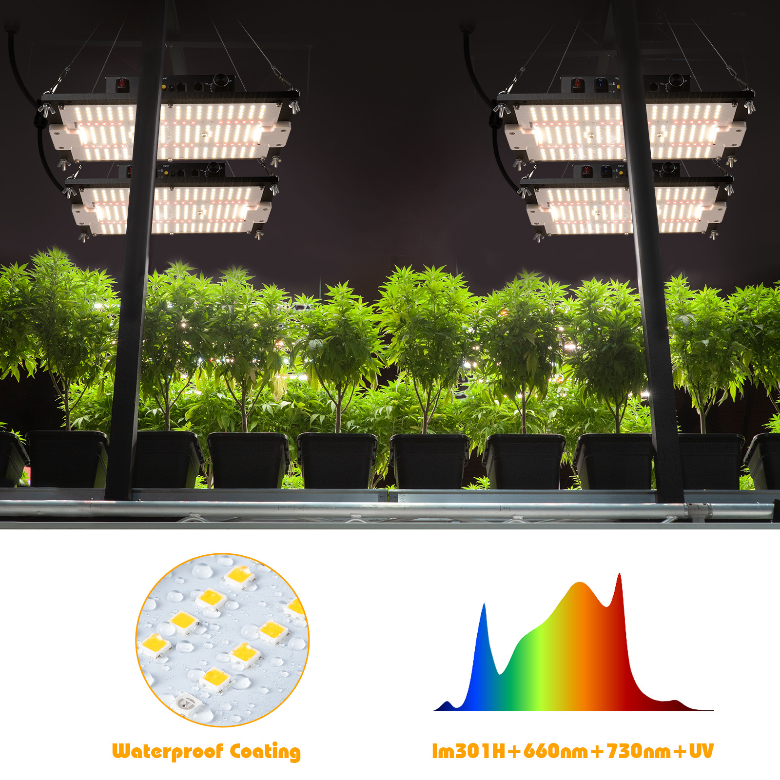 Smart control Led Plant Grow Lights aluminum heatsink full spectrum led board lm301h / lm281b 120w grow lights for indoor plants