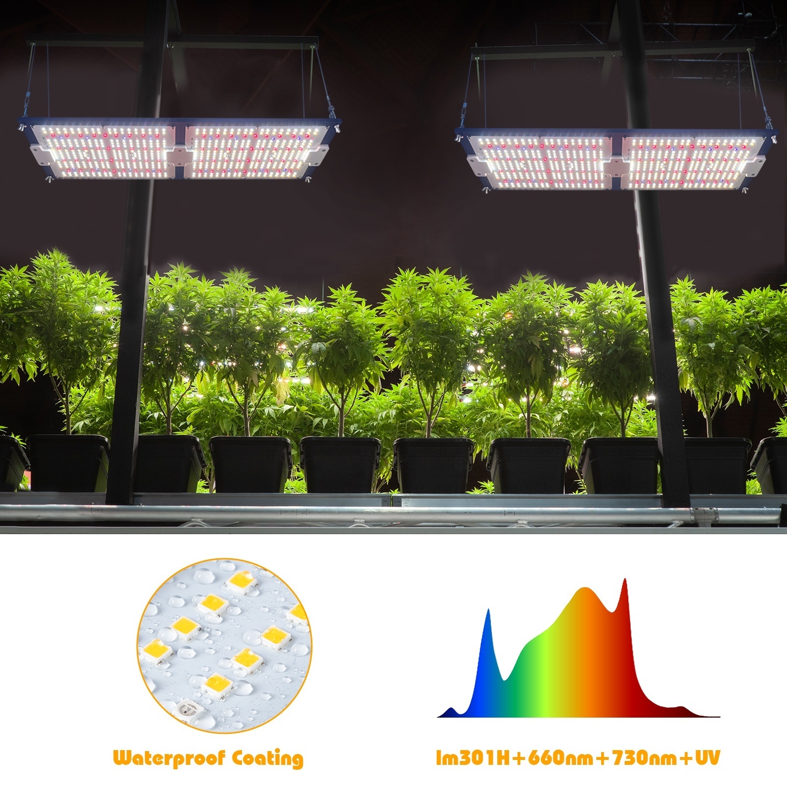 240W LM301H Evo Board Grow Light UV IR Samsung lm301b lm281b Indoor Plants Dimmable Novedades Panel Grow Led Light