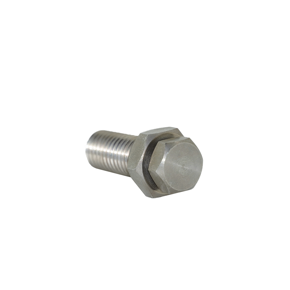 Fastening Stainless Steel Machine Screw