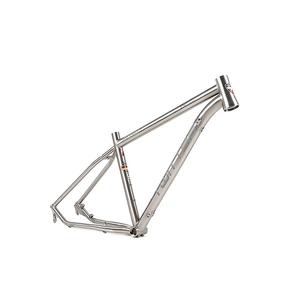 2021 twitter WERNER single speed NX-12S bicycle cycling frame titanium mountain bicycle frame 29