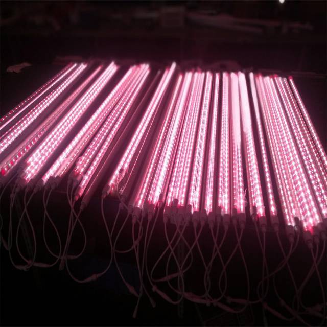 High quality energy saving safe and healthy fresh food meat fish bread fruits led tube t8 pink lighting