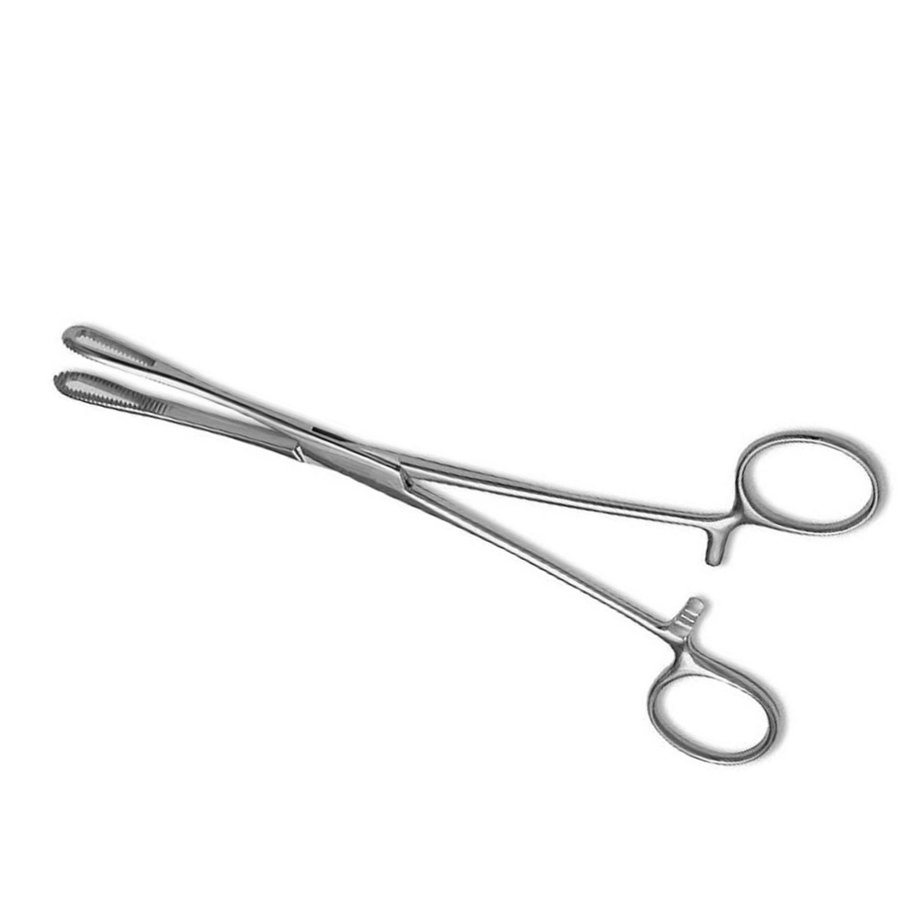 Wholesale Hot Selling Forester Sponge Holding Forceps Straight & Curve High quality Stainless Steel