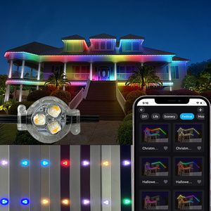 Twinklight Decorative Waterproof Outdoor Smart Pixel Led Eaves Light RGB Controller Permanent Roof Lighting Point Light