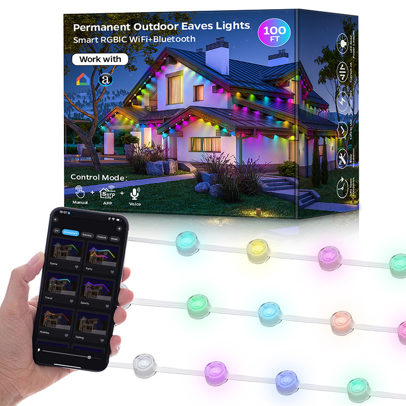 Twinklight Decorative Waterproof 36V LED RGB Smart Permanent Outdoor Pixel Lights String Laser Point Light Outdoor