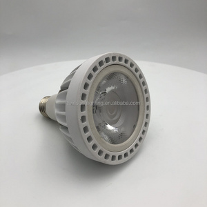 Hot Selling Par30 30W Spotlight High Power Aluminum Housing Par 30 light LED Spot Light Led Bulb