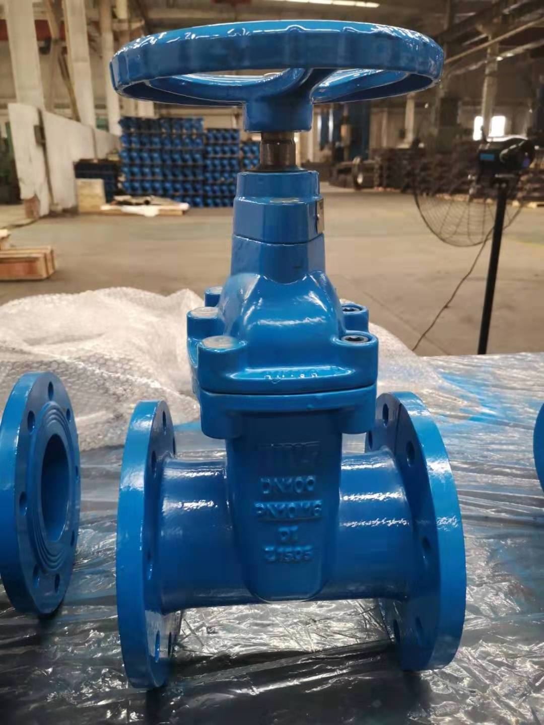 Resilient Seated Gate Valve Water TWS Standard Flanged Manual Slide Gate Valve DN100 Ductile Iron EPDM General Gas Water Oil AZ