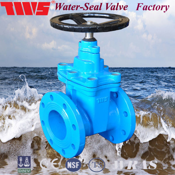 Non-rising Stem DN400 Gate Valve PN16 2018 Water 1 Piece TWS Standard DI Control Water General Manual Knife Type Gate Valve EZ