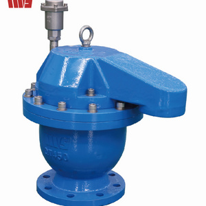 TWS DN50 Ductile Iron Composite High Speed Air Release Valve PN10/16