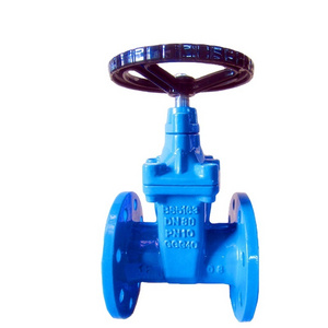 Resilient Seated Gate Valve Water TWS Standard Flanged Manual Slide Gate Valve DN100 Ductile Iron EPDM General Gas Water Oil AZ