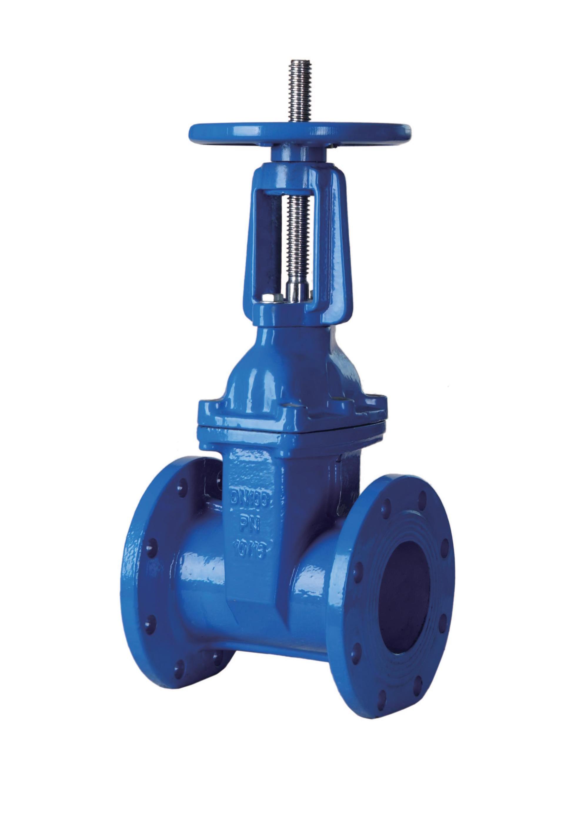 Resilient Seated Gate Valve Water TWS Standard Flanged Manual Slide Gate Valve DN100 Ductile Iron EPDM General Gas Water Oil AZ