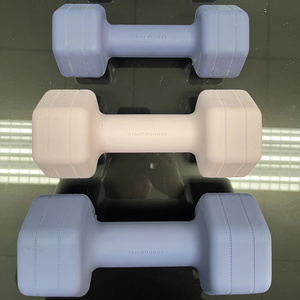 training gym equipment 2-10 lbs fitness silicone dumbbell with metal inside not PVC