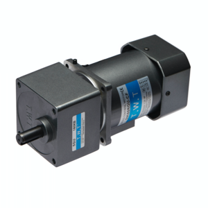 AC 220V Single Phase  industrial induction motor 4IK25GN-C reverse forward with Speed Controller