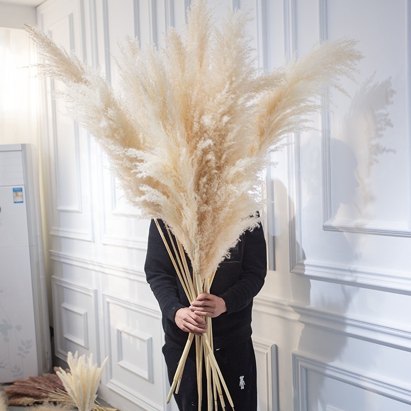 MF-L99 Flower Long Large Fluffy Natural Dried Flowers Artificial Silk White Pampas Grass For Wedding Decoration Supplies