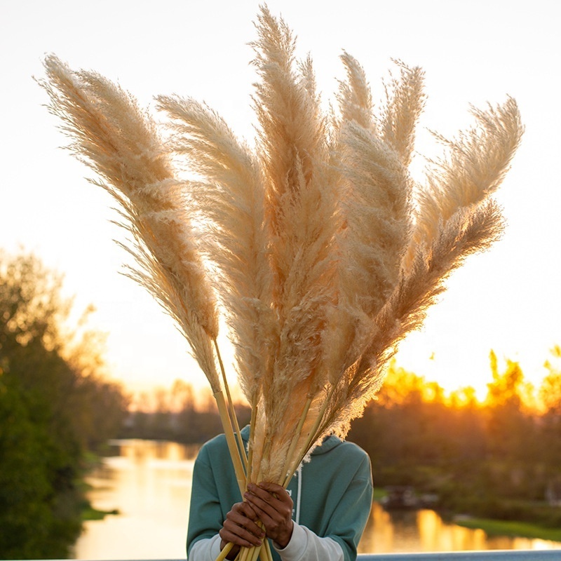 MF-L99 Flower Long Large Fluffy Natural Dried Flowers Artificial Silk White Pampas Grass For Wedding Decoration Supplies