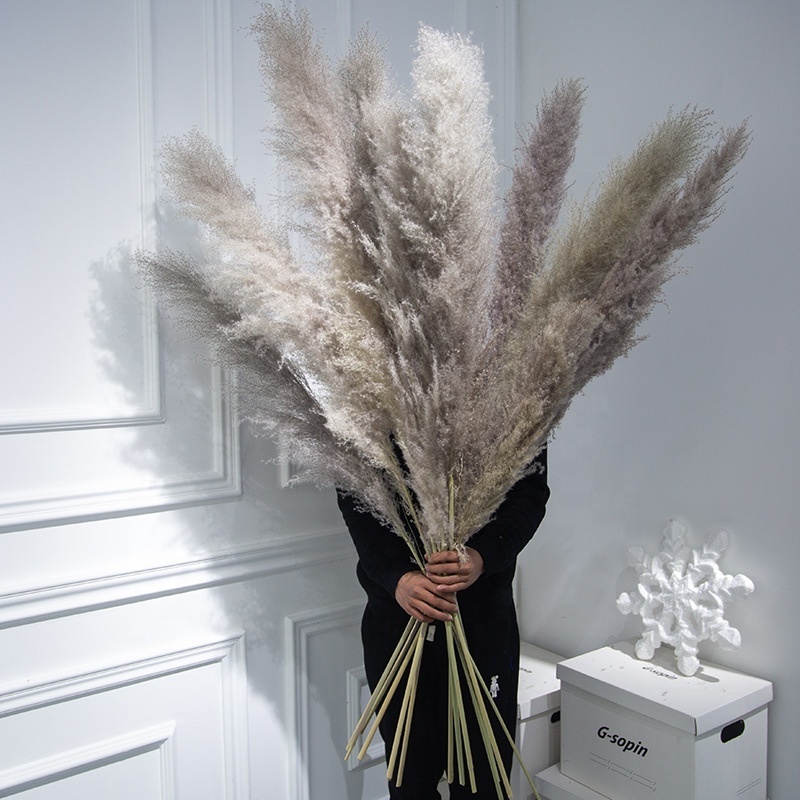 MF-L99 Flower Long Large Fluffy Natural Dried Flowers Artificial Silk White Pampas Grass For Wedding Decoration Supplies