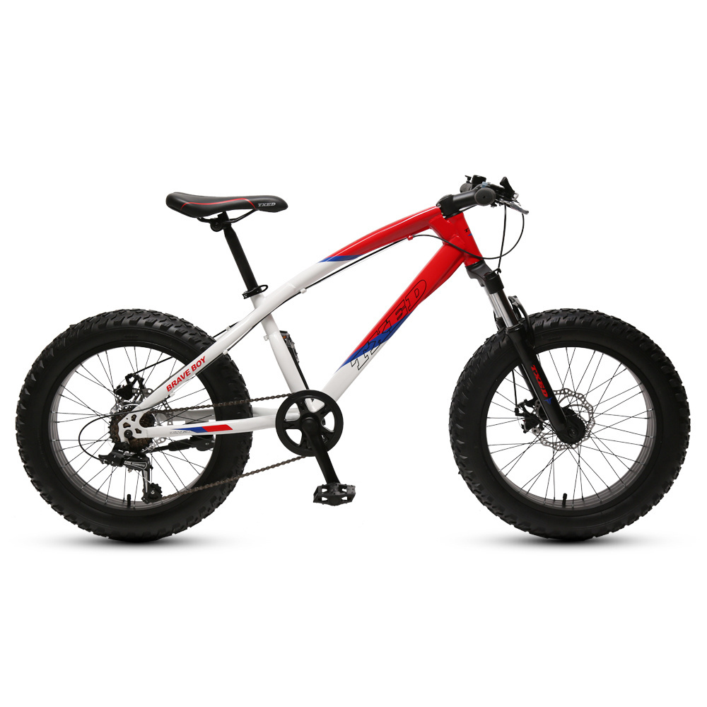 TXED fat tire bicycle 26 inch mountain bike