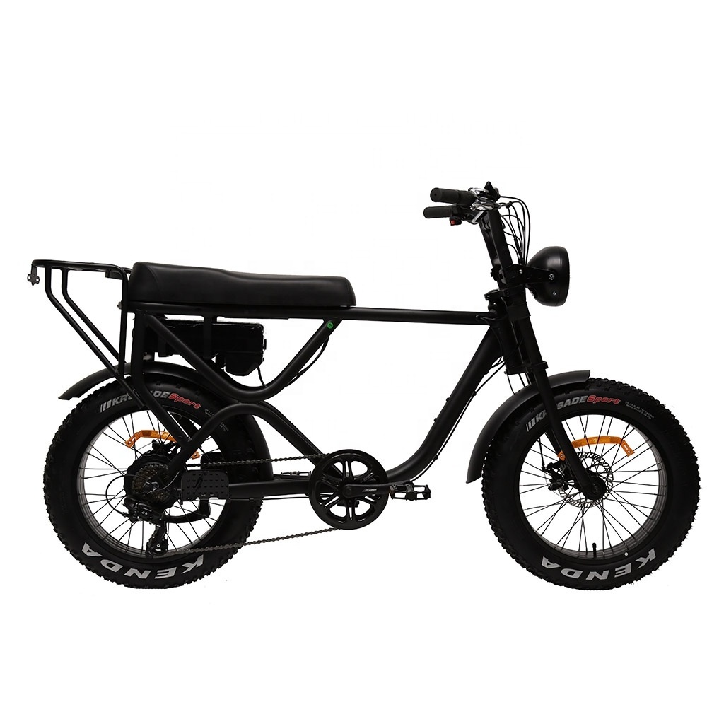 TXED Most Popular Tandem Bike E Bike Fat Tire Bicicleta 20 Inch Electric Bike