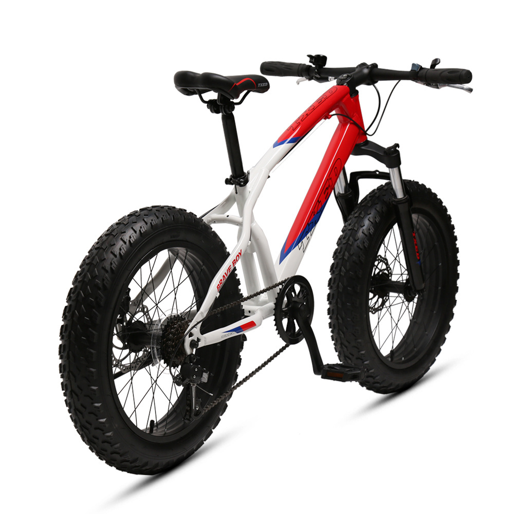 TXED fat tire bicycle 26 inch mountain bike