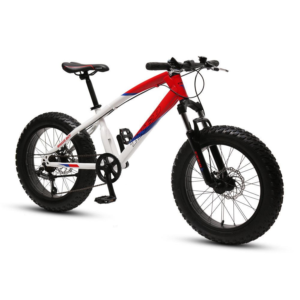 TXED fat tire bicycle 26 inch mountain bike