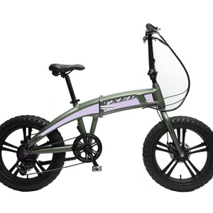 TXED Hidden Battery Fat Tire Electric Pocket Bike 500w Folding Ebike 20 Inch Electric folding bicycle