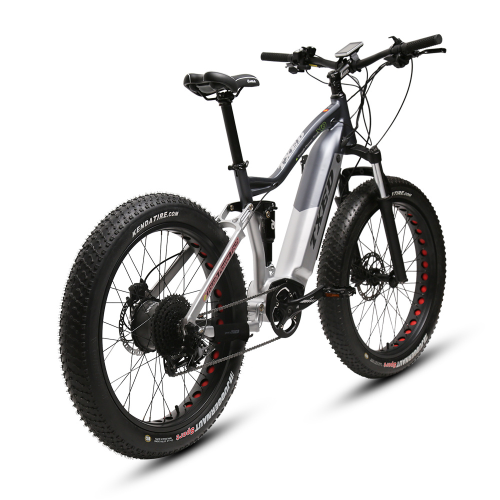 TXED fat tire electric bicycle mtb off road electric bike 750W motor Electric Mountain bicycle