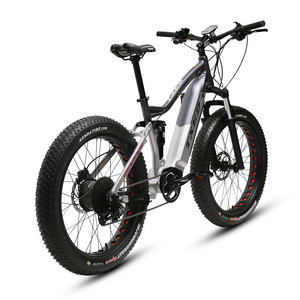 TXED fat tire electric bicycle mtb off road electric bike 750W motor Electric Mountain bicycle