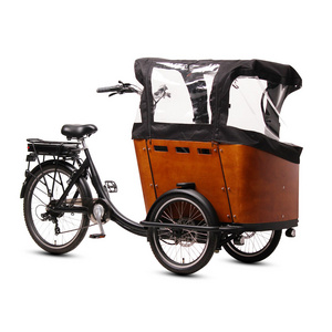 TXED three wheel electric tricycle 48V 500W electric cargo bike