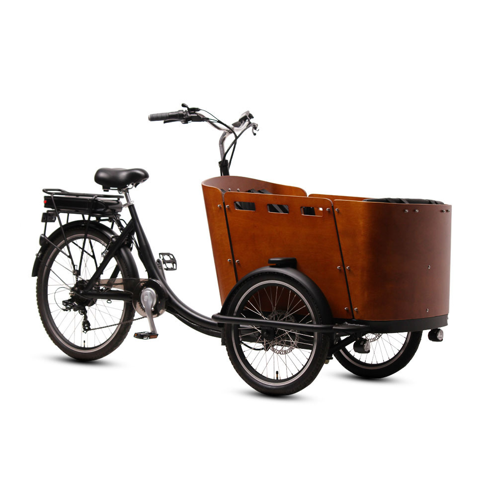 TXED three wheel electric tricycle 48V 500W electric cargo bike